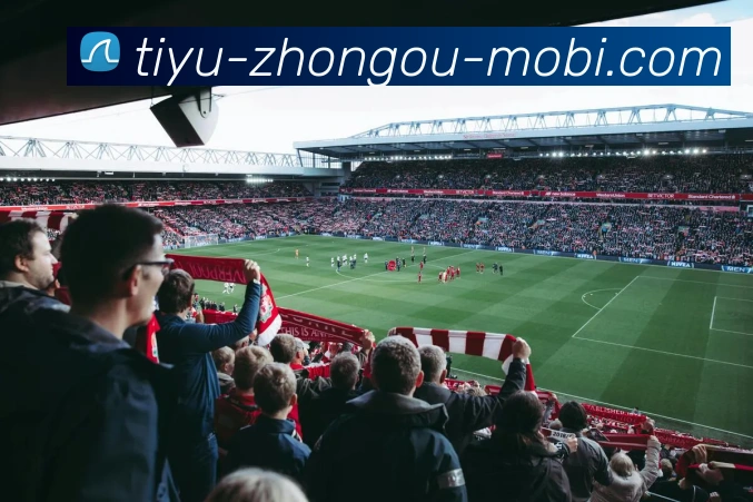 中欧体育平台生态图