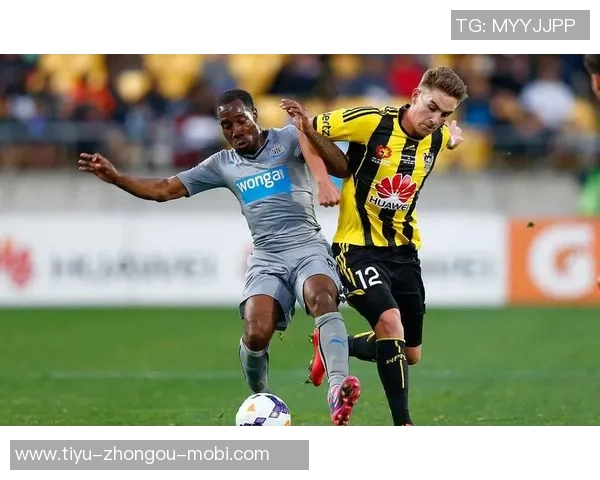 广岛三箭在J联赛杯决赛中以3-1战胜柏太阳神夺得队史第二冠吸引62466人观战