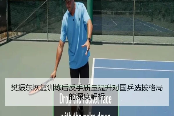 樊振东恢复训练后反手质量提升对国乒选拔格局的深度解析 - ZOTYSPORTS